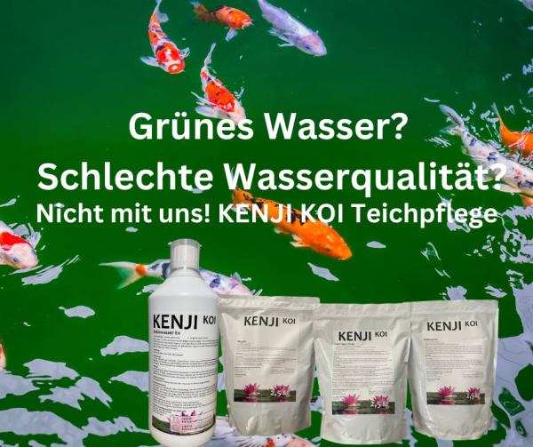 KENJI KOI Fadenalgen Stopp 2.5 kg
